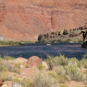 Vermillion Cliffs 08